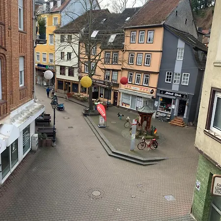 Altstadtblick *