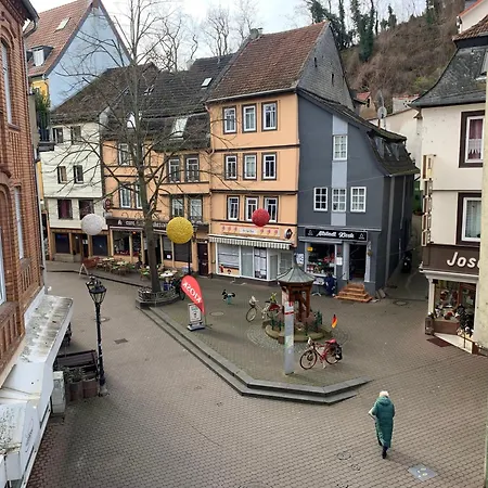 Altstadtblick 巴特克罗伊茨纳赫